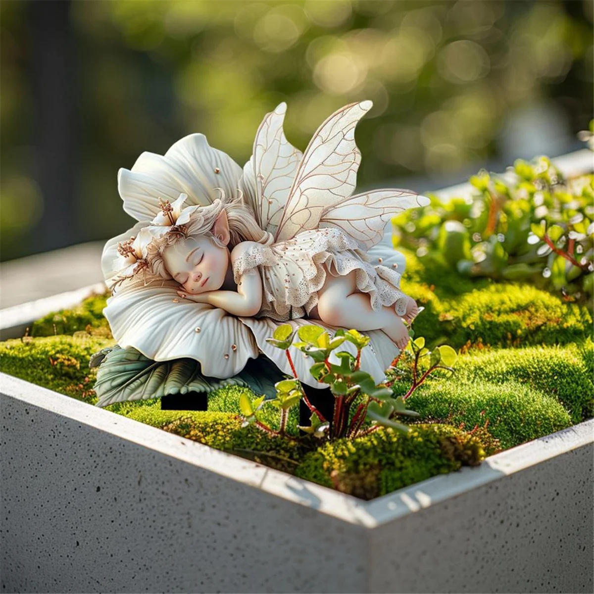 A71p белый лотос сказочный садовый - Фотография_6