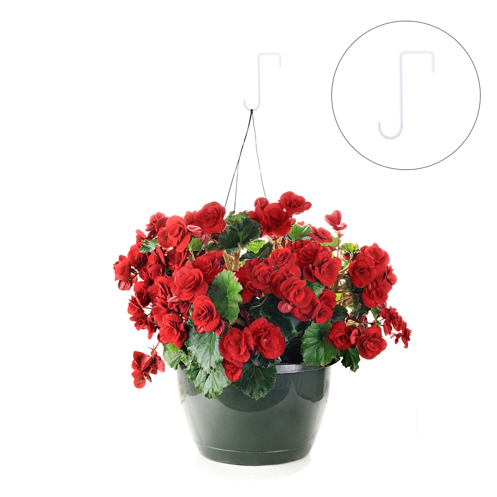 Белые садовые крючки - Фотография_4