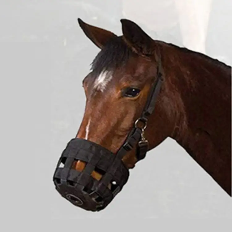 Оборудование для конного спорта - Фотография_3