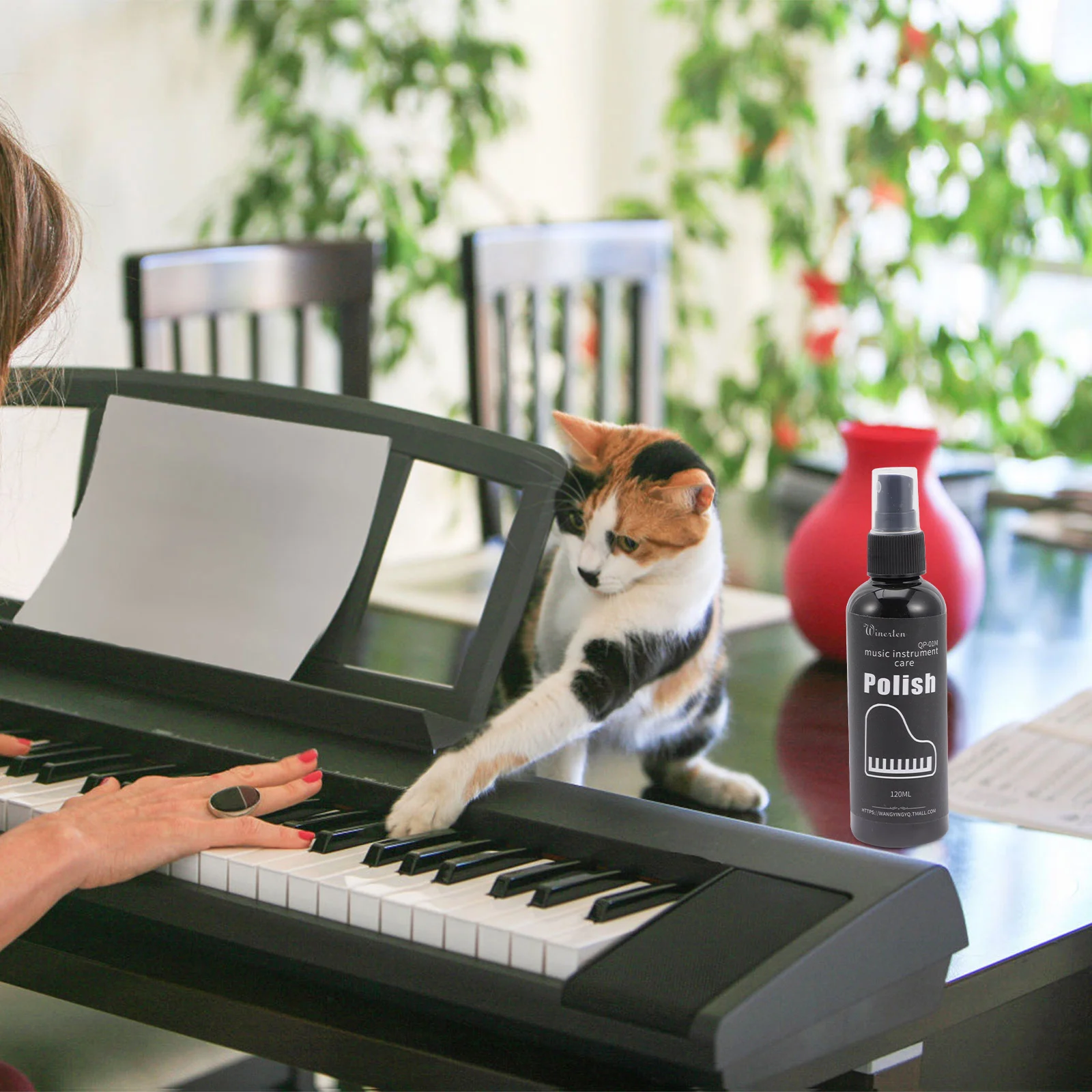 Профессиональный очиститель музыкальных инструментов - Фотография_5