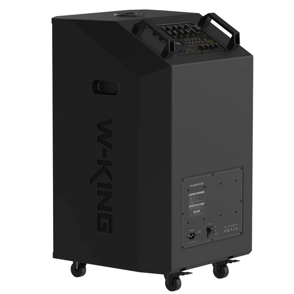 W-king k30 pro line array громкоговоритель - Фотография_6