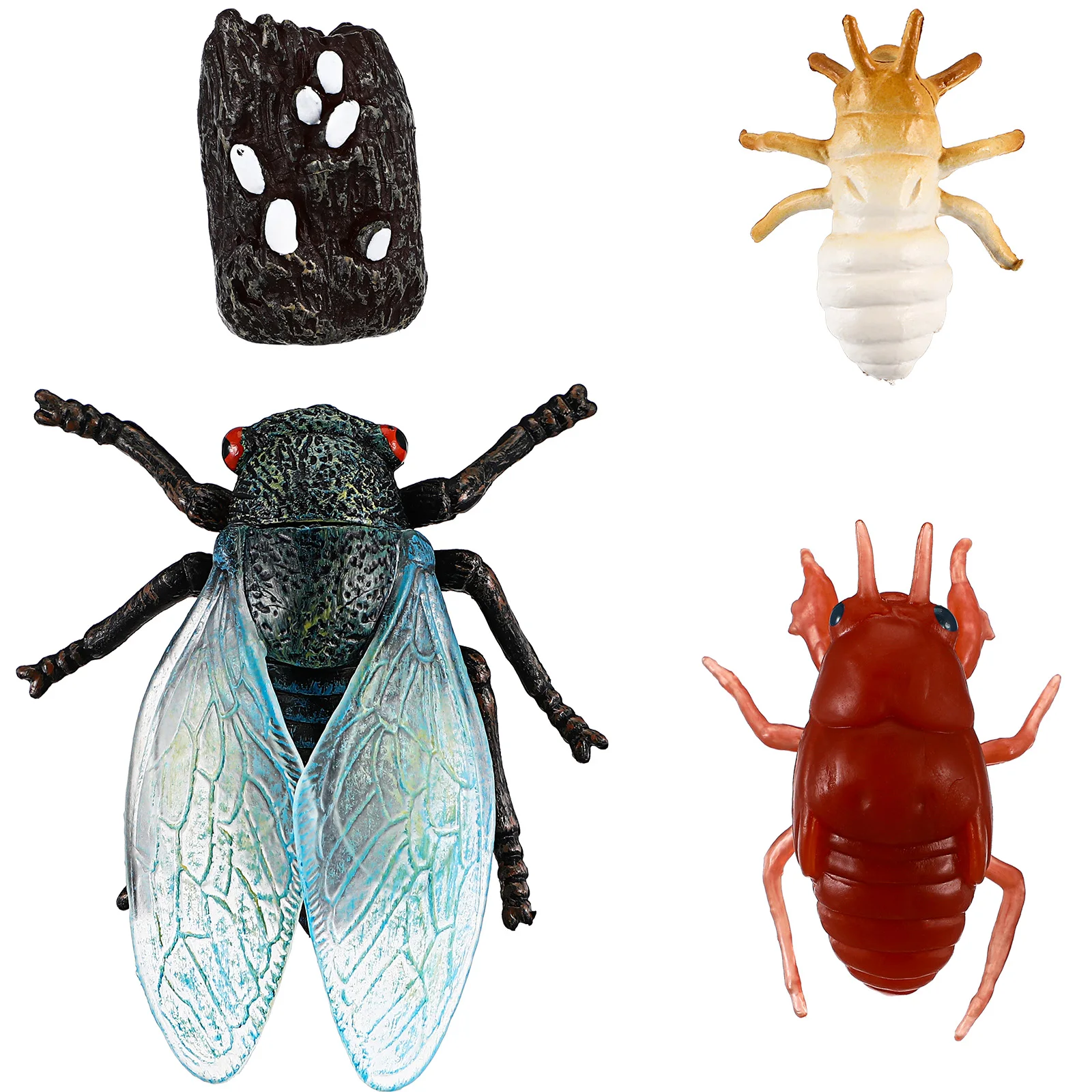 Научное образование - Фотография_3