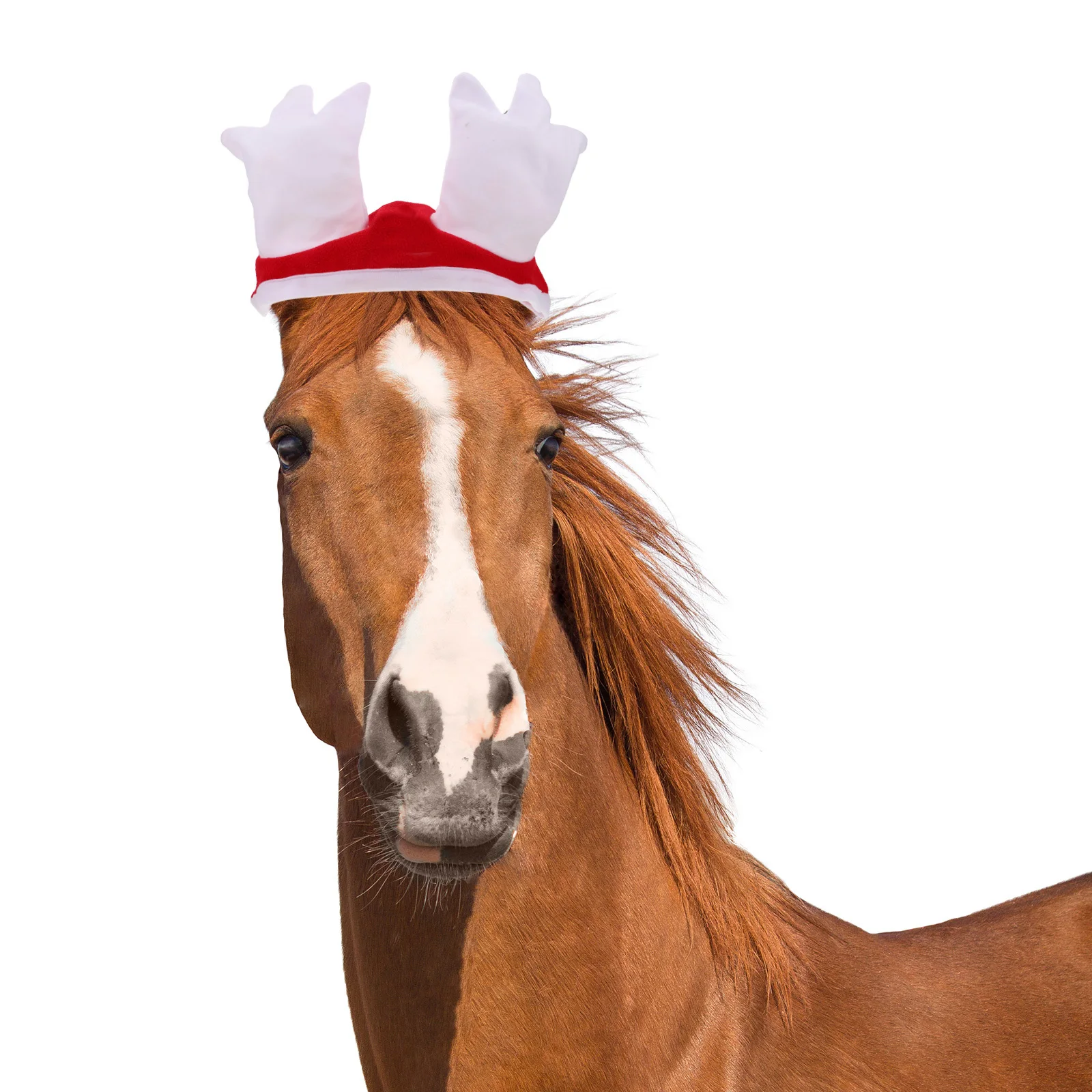 1 комплект, праздничный костюм лошади - Фотография_6