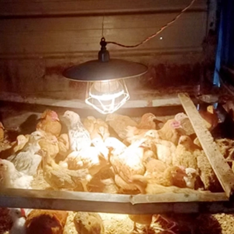 Нагревательная лампа - Фотография_2