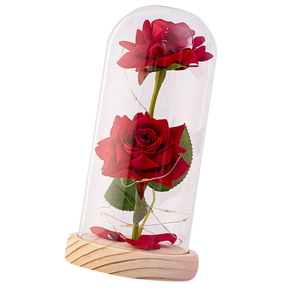 Изысканный стеклянный купол - Фотография_6