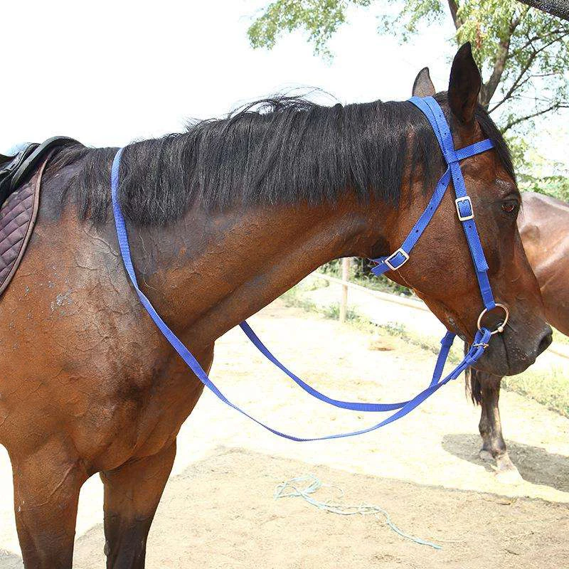 Поводносы для узел для конного спорта - Фотография_6