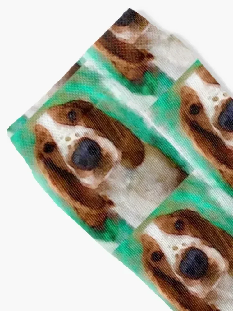 Носки welsh springer spaniel puppy art - Фотография_2