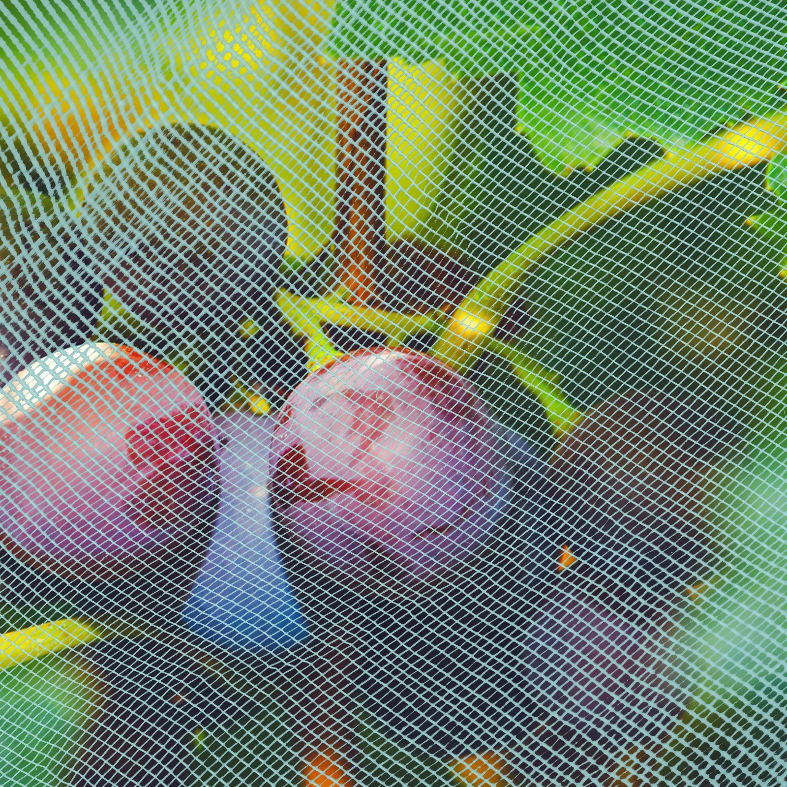 Универсальная многоразовая защитная сетка для сада - Фотография_4