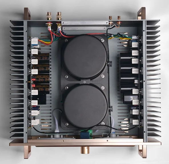 Brzhifi a60 эталонная схема golden throat - Фотография_4