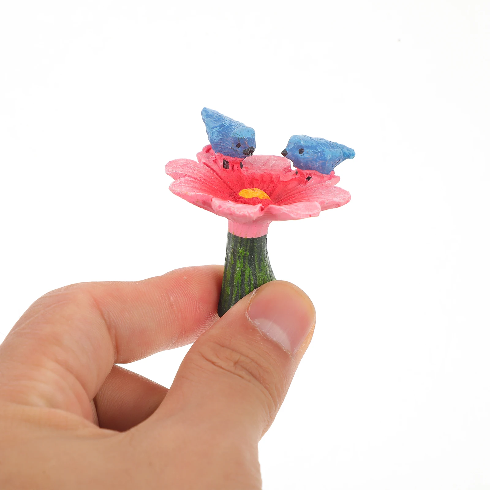 Фея эльф сочный горшок растение - Фотография_5