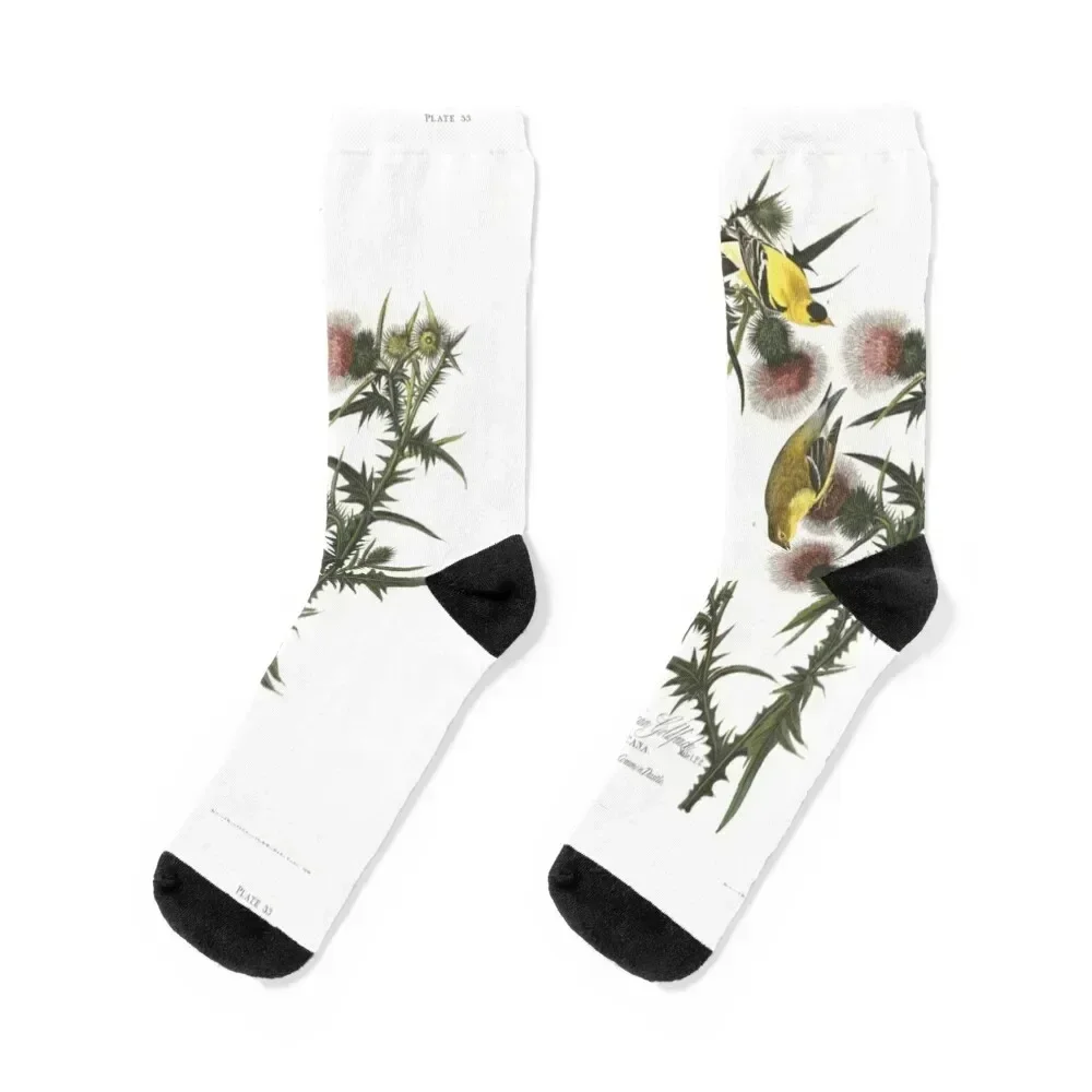 Носки goldfinch and thistle