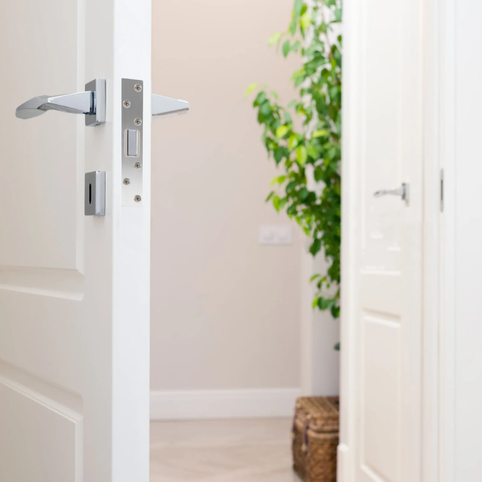 Дверная защелка из нержавеющей стали - Фотография_5