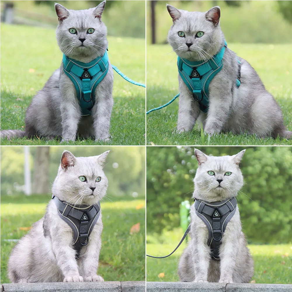 Комплект шлейки и поводка для домашних животных - Фотография_6