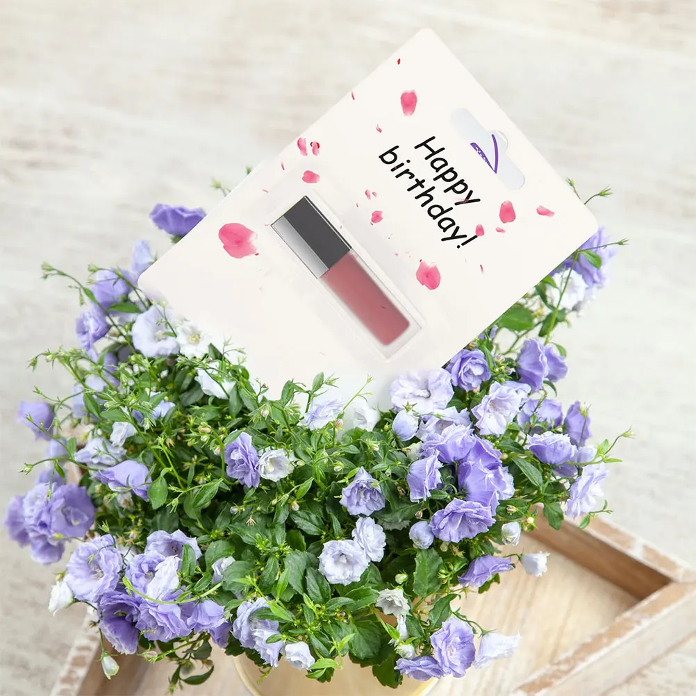 Прозрачные держатели для денег «сделай сам»