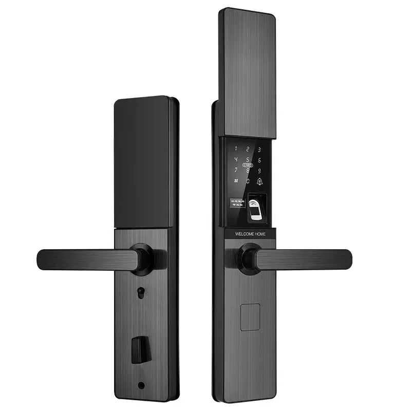 Удаленные замки для домашней безопасности