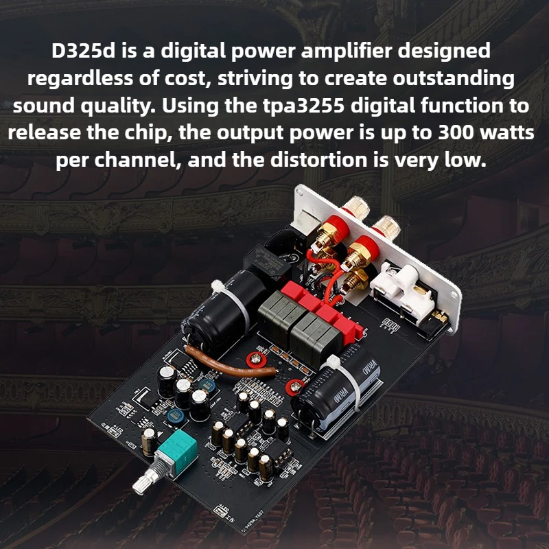 D325d tpa3255 двухканальный - Фотография_2
