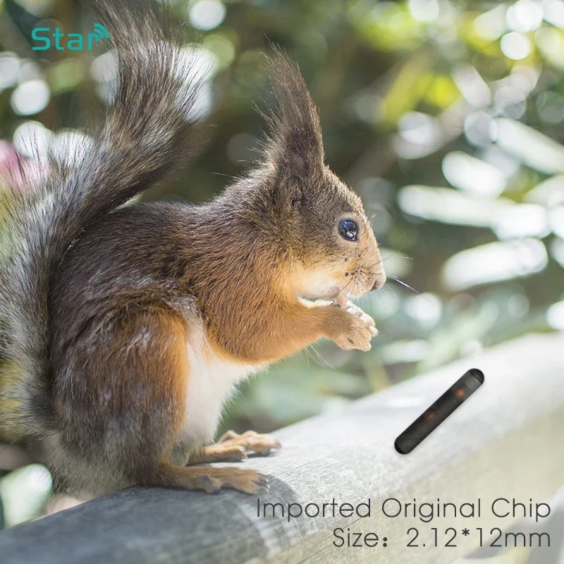 Микрочип для кошек и собак - Фотография_5