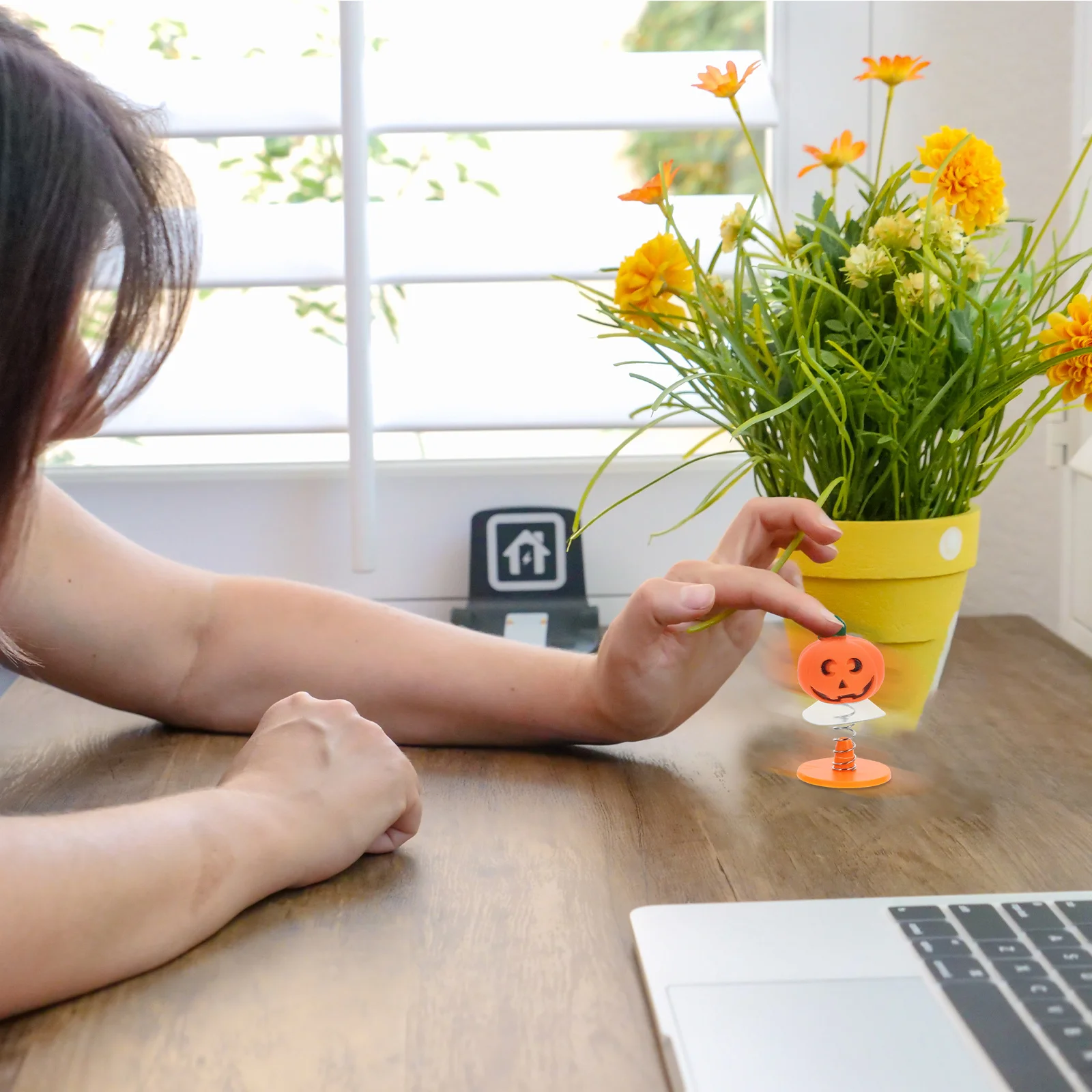 Хэллоуин, весенняя тыква - Фотография_2