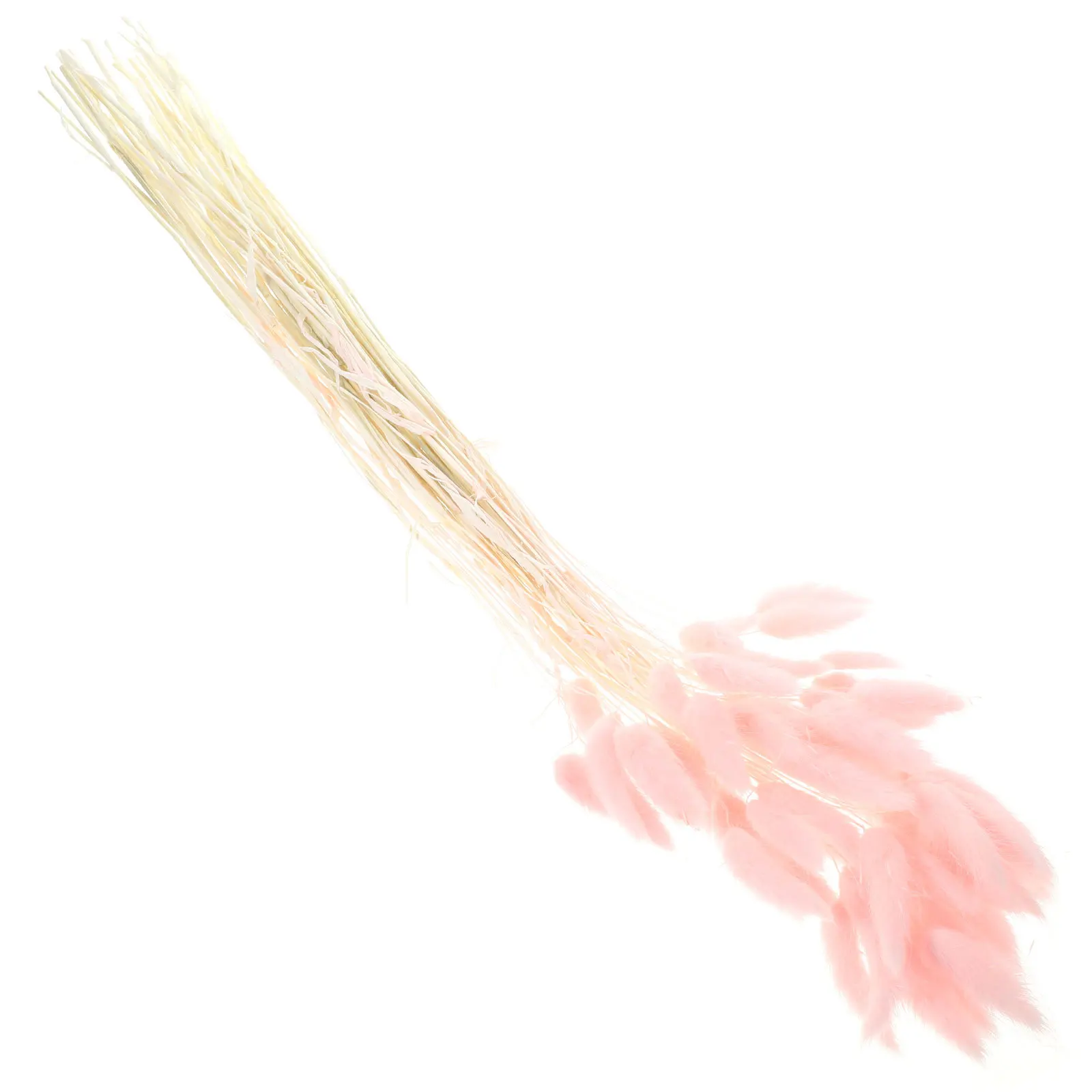 Натуральная сушеная трава с кроличьим хвостом - Фотография_4