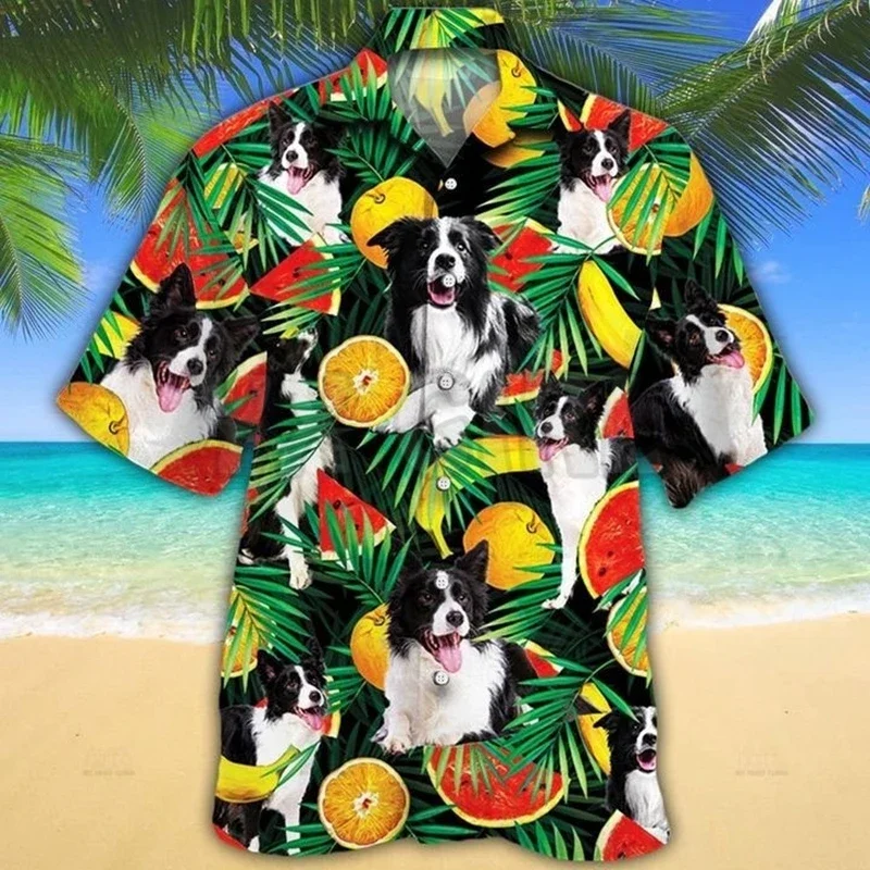 Гавайская рубашка border collie с 3d-рисунком сахарного черепа