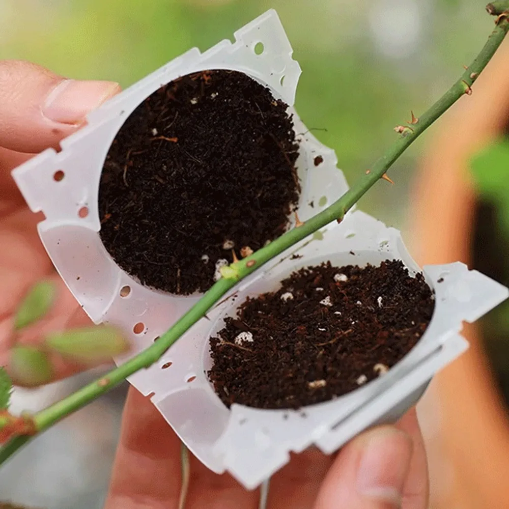Стручки для наслоения воздуха - Фотография_3