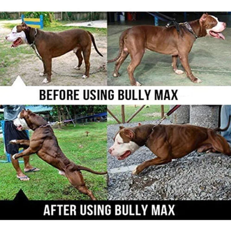 Bully max the ultimate canine supplement - Фотография_3