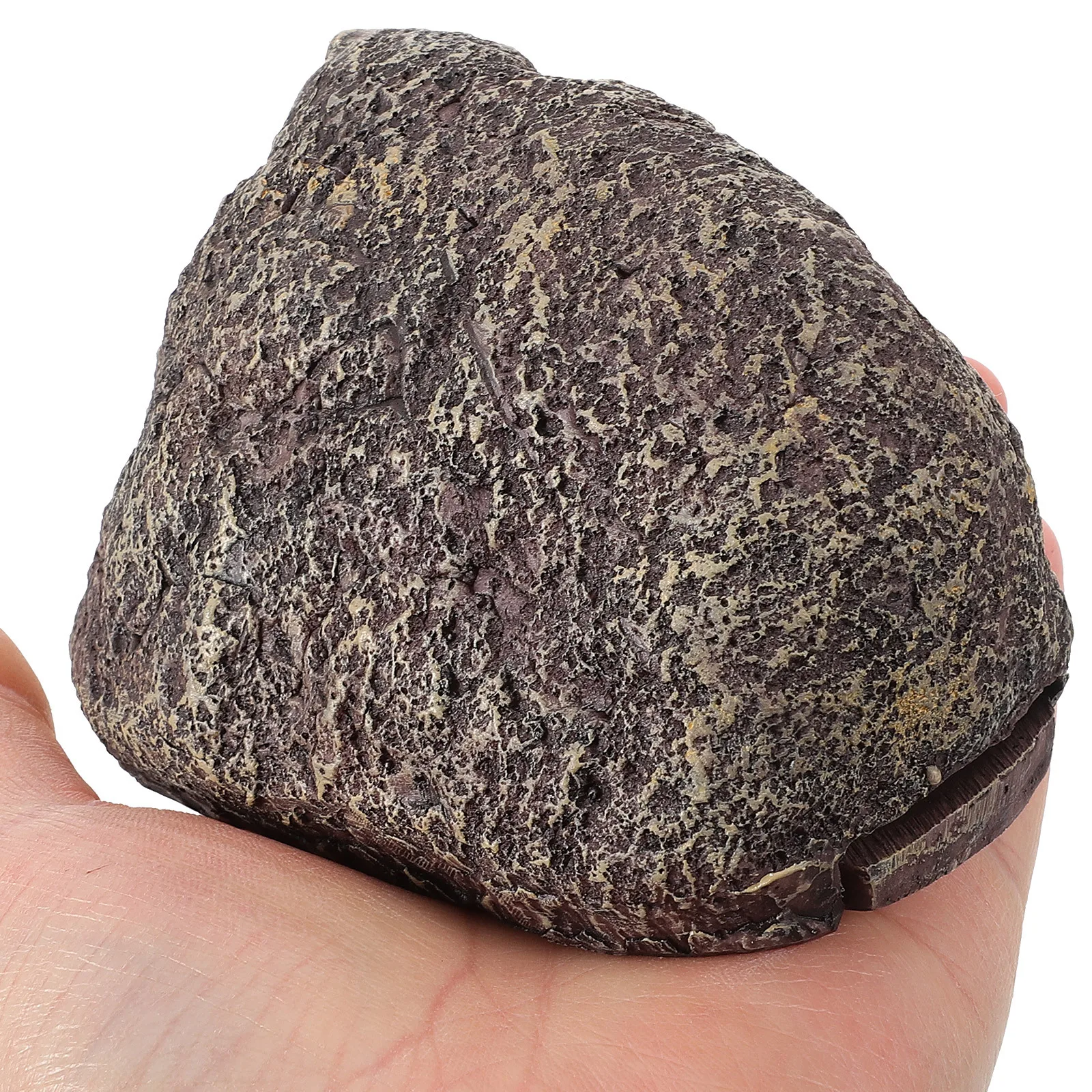 Каменная коробка - Фотография_6