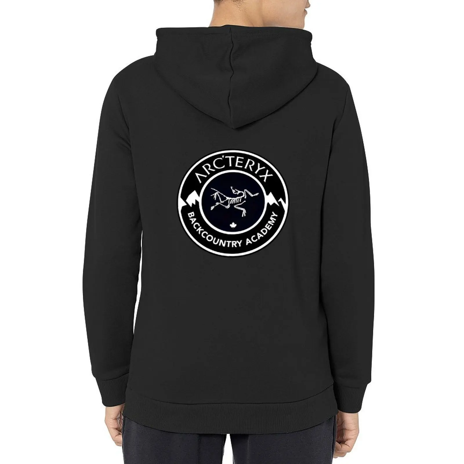 Arcteryx толстовка в японском стиле
