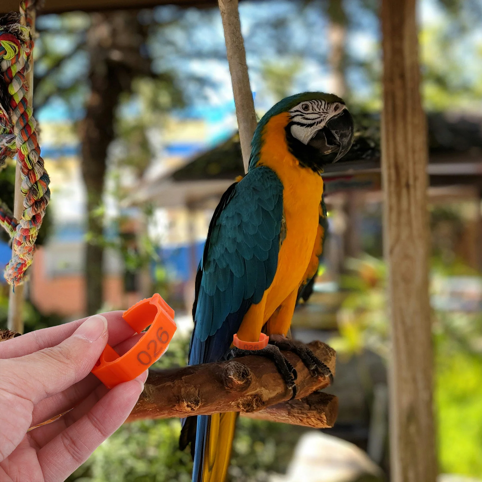 Ленты для куриных ножек - Фотография_5