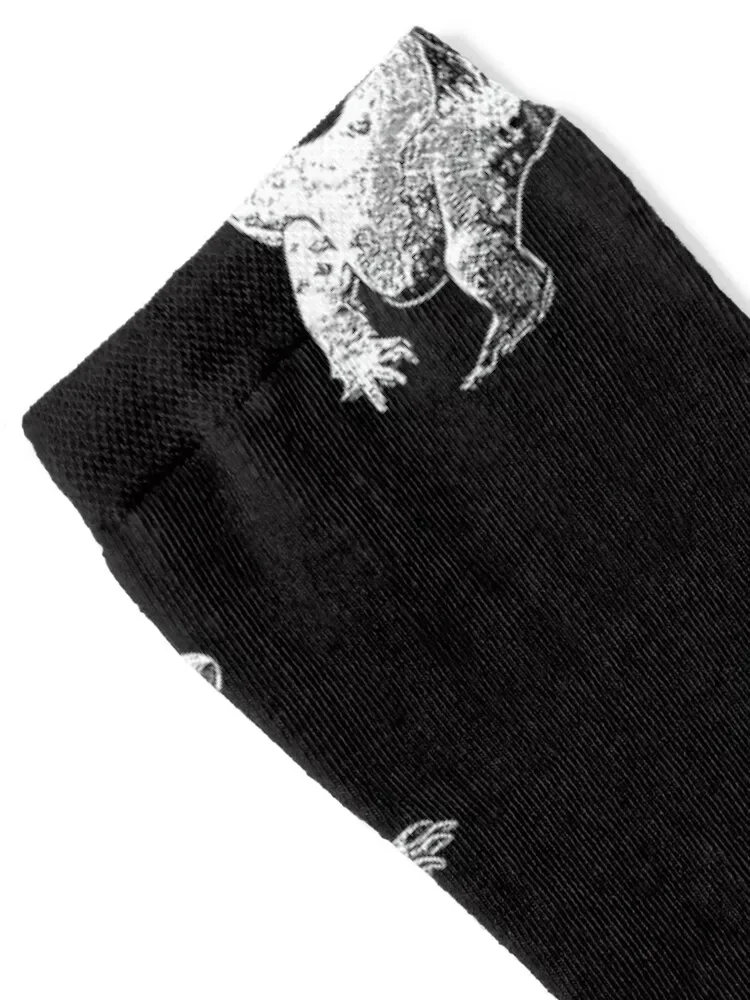 Носки komodo dragon white с принтом - Фотография_2