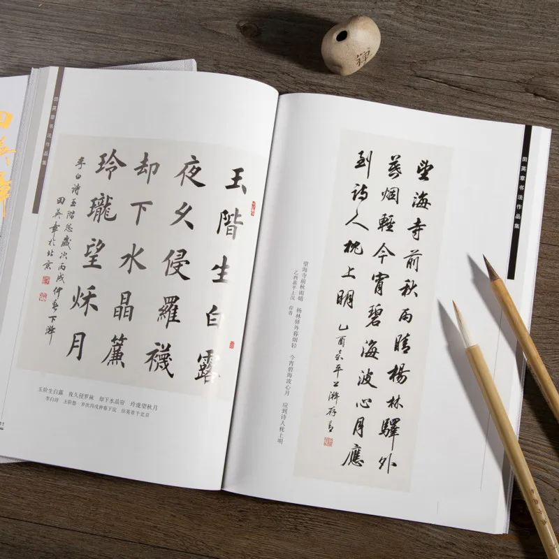 Тетрадь для каллиграфии ouyang xun с кисточкой tian yingzhang - Фотография_5