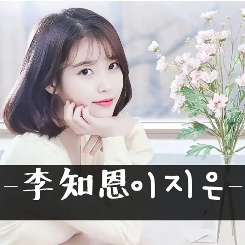 Pop idol iu lee ji eun музыкальный cd 2023 greatest hits альбом 3 шт - Фотография_2