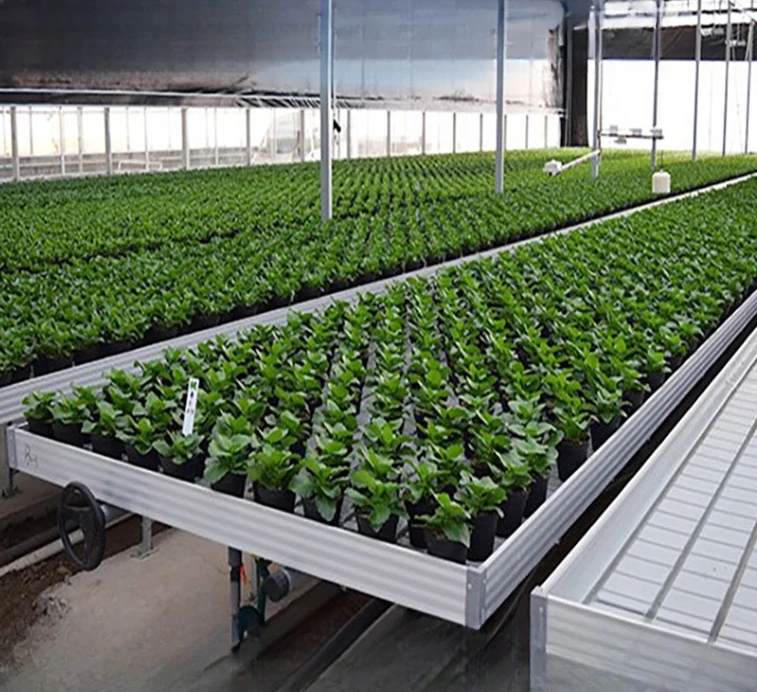 Equipment rolling table growth - Фотография_2