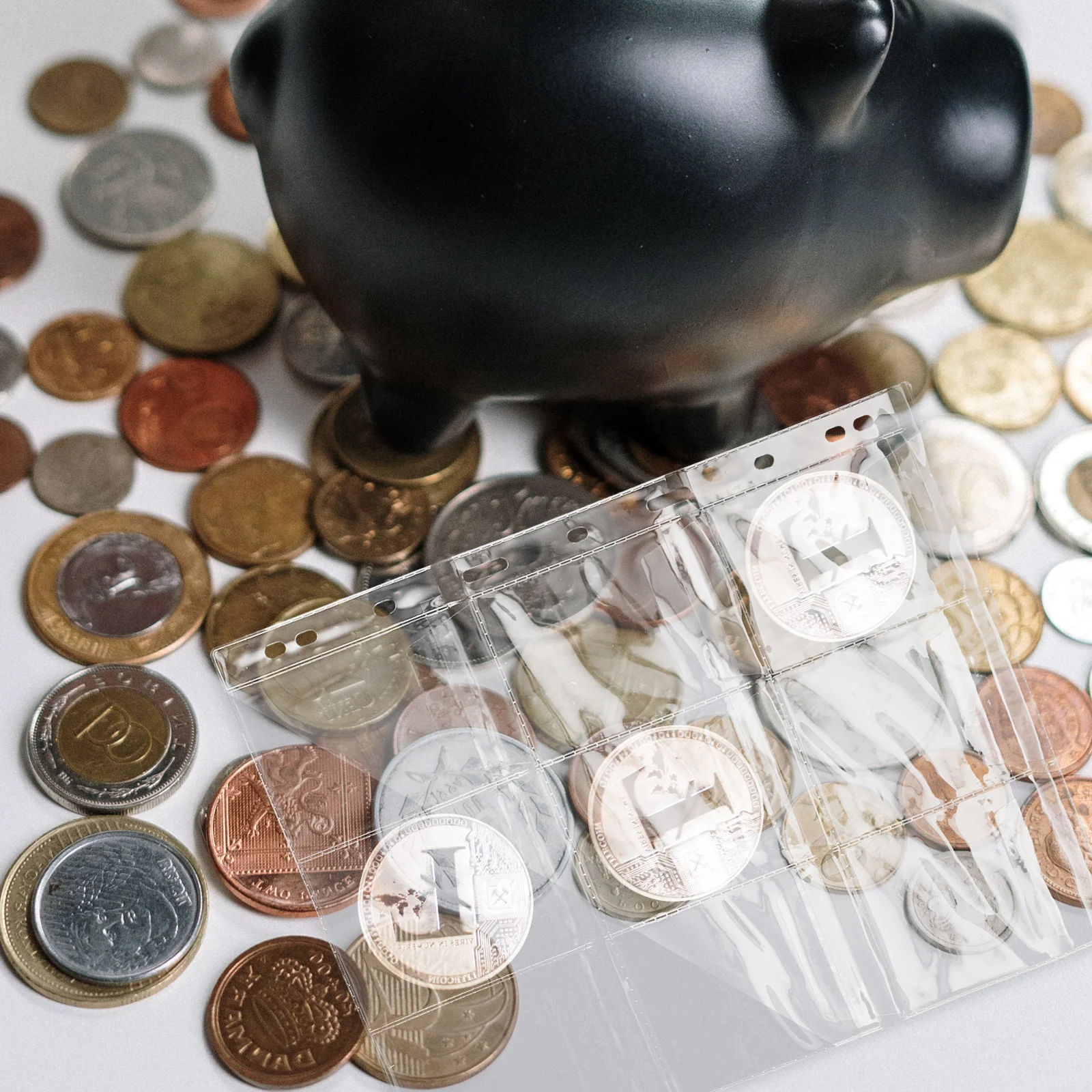 Страницы для монет - Фотография_5