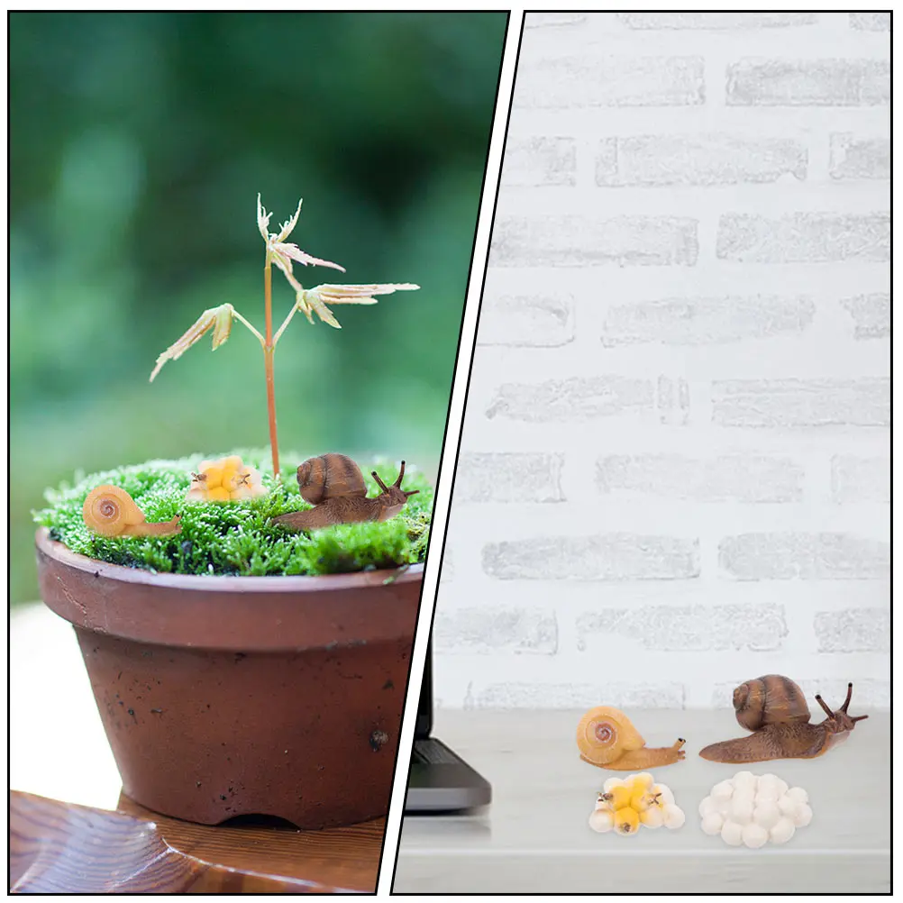 2 компл., цикл роста улитки