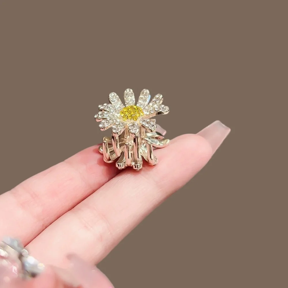 Дейзи солнце цветок растение волосы - Фотография_3