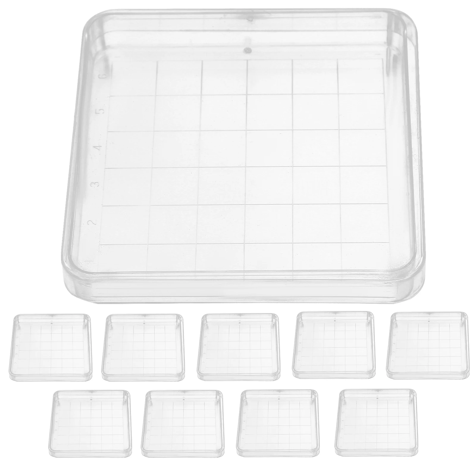 Квадратные чашки петри 10x10 см - Фотография_5