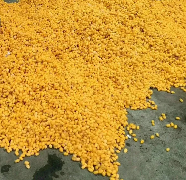 Натуральный золотой цвет |   одеяло - Фотография_5