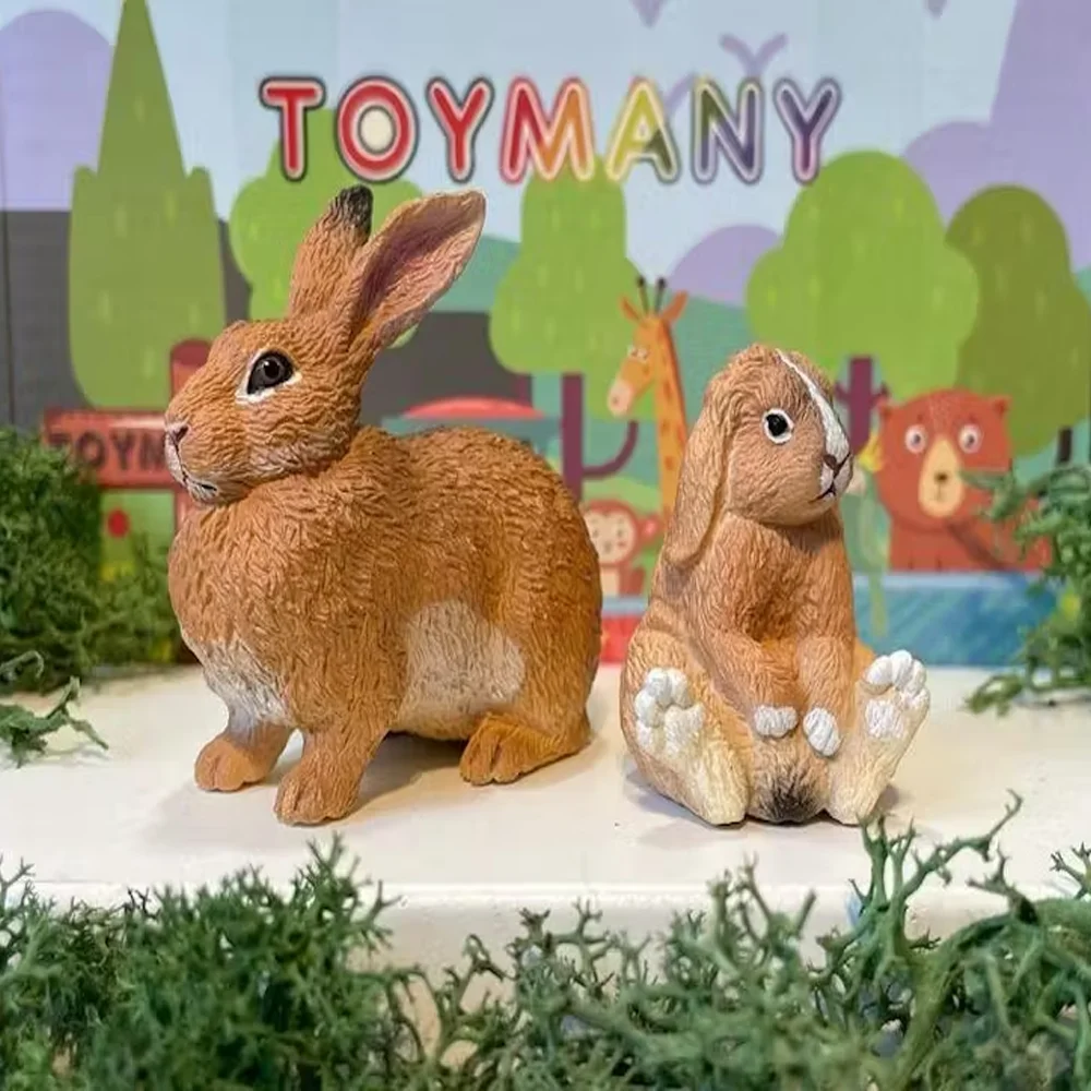 Toymany моделирование фламандский - Фотография_6