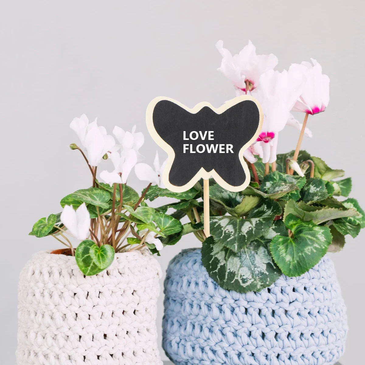 Деревянные мини-вывески для классной доски - Фотография_3