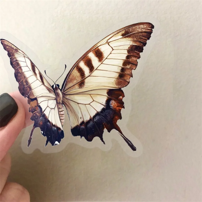 Липкая наклейка для домашних животных с рисунком бабочки - Фотография_3