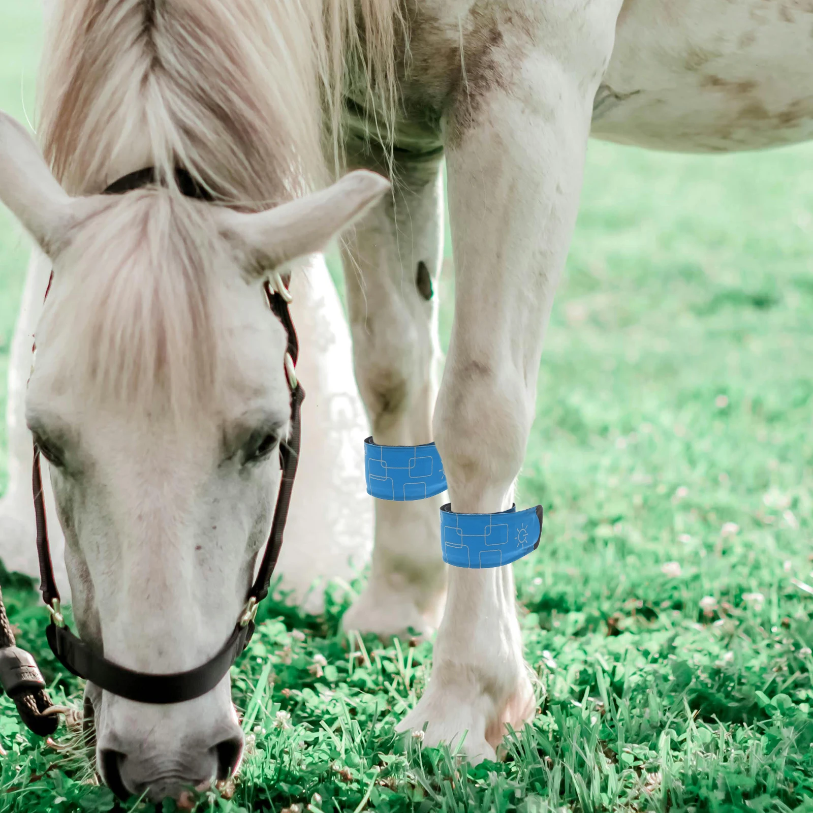 Светодиодные повязки на щиколотке для лошади