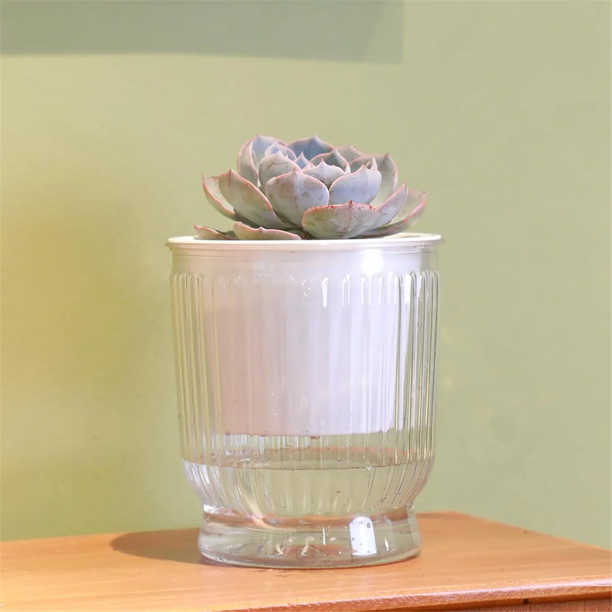 Самополивные горшки для растений a65i - Фотография_4