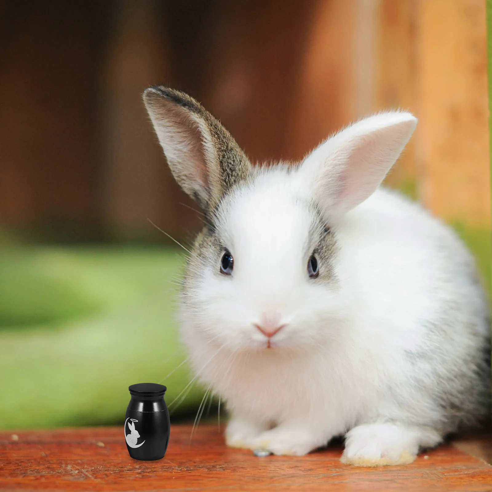 Урна для кролика - Фотография_4