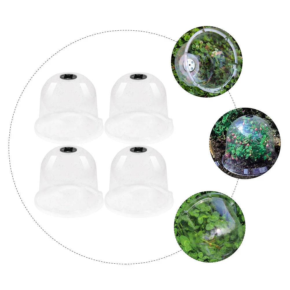 Флюоресцентные колокольчики - Фотография_2