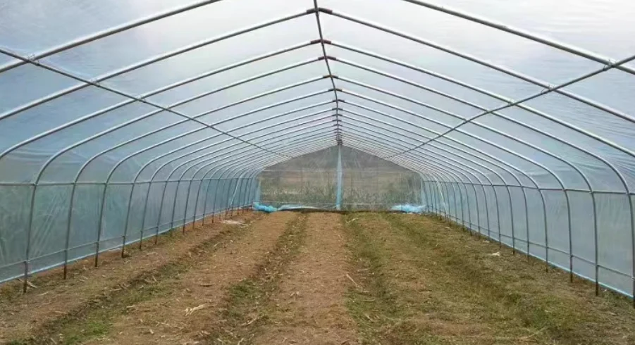 Сельскохозяйственный стальной каркас - Фотография_2