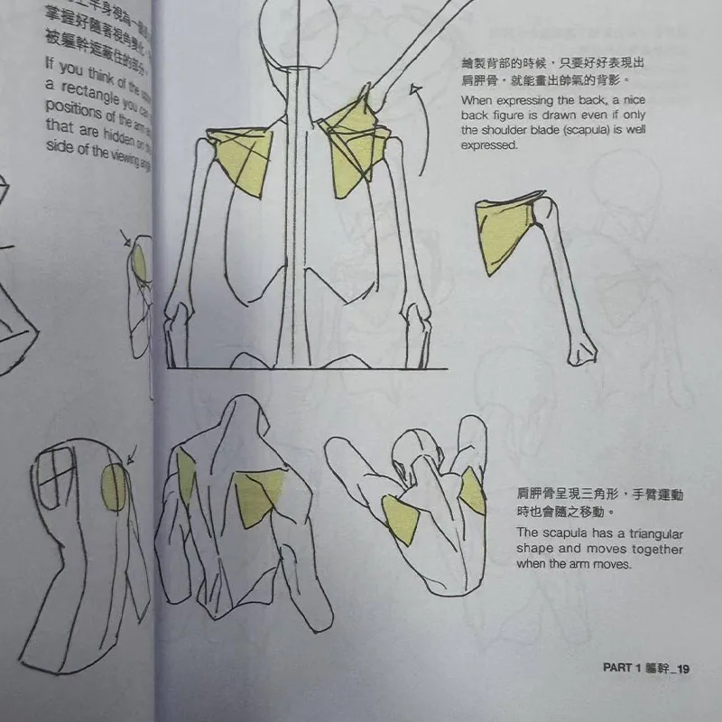 Новый punkt character drawing taco - Фотография_5