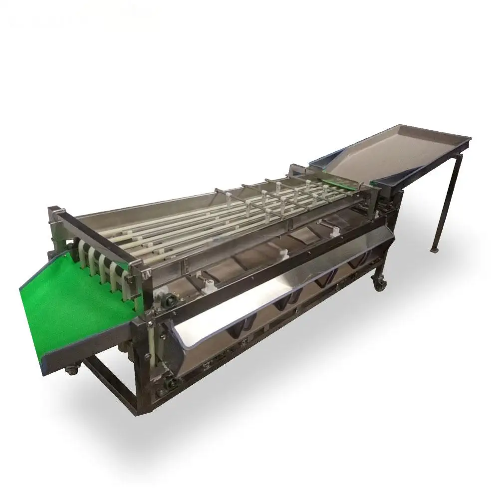 Многофункциональная машина для сортировки фруктов и овощей - Фотография_6