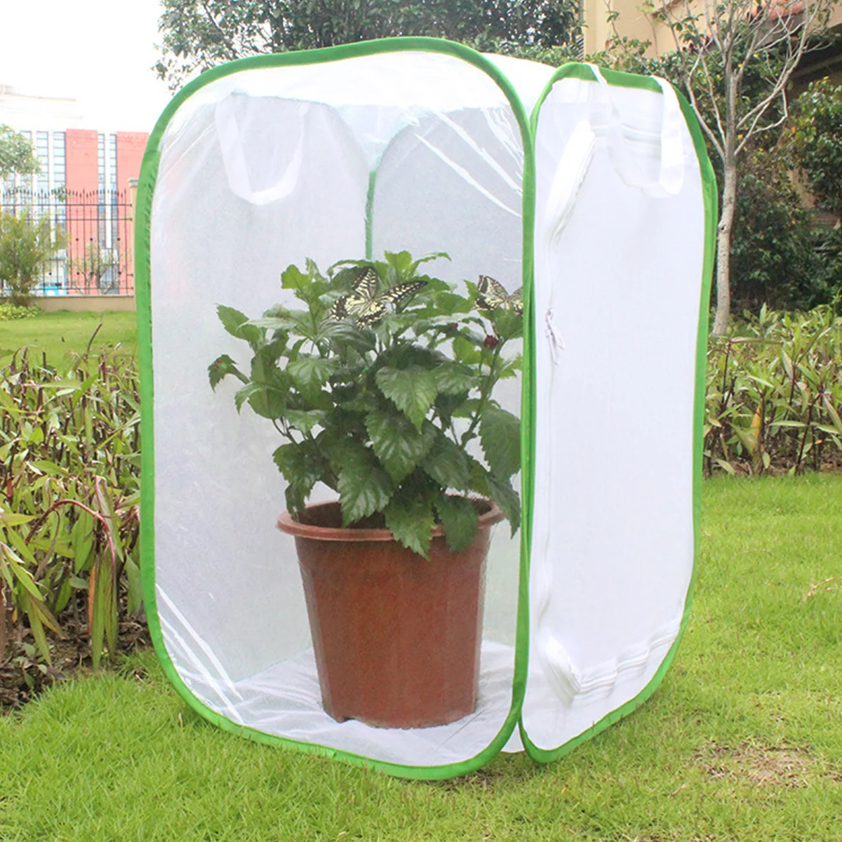 Сетка-бабочка для детей - Фотография_3