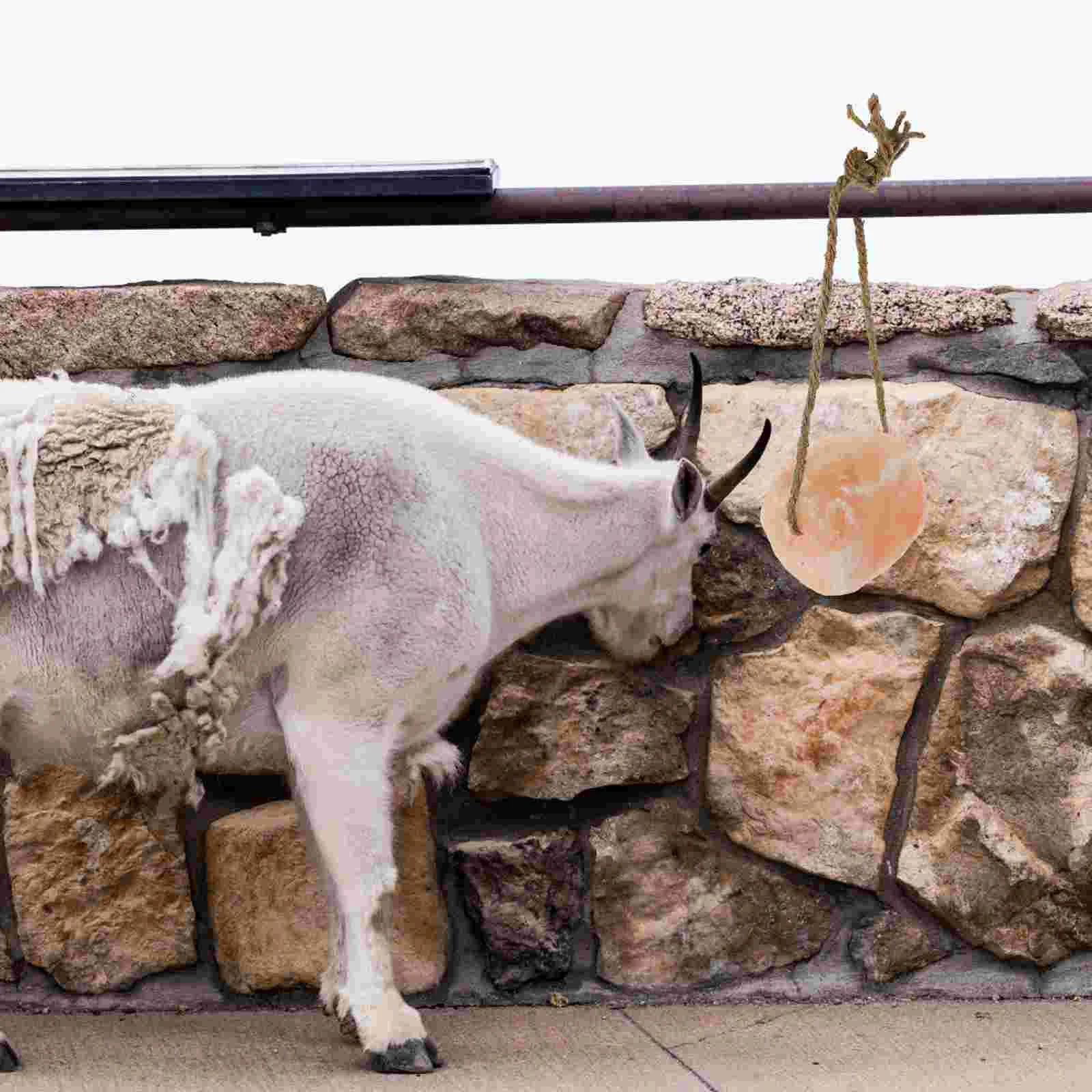 Кубики для лизания соли - Фотография_3